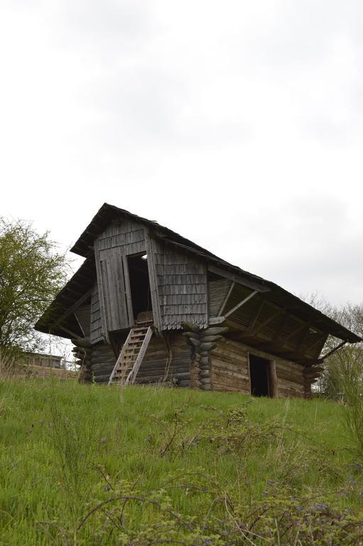 La Lisiere